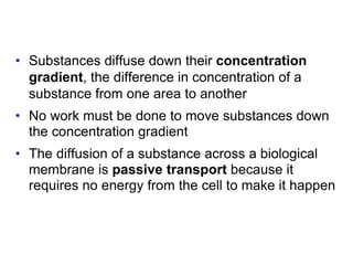 As level biology cell membrane chapter notes | PPT