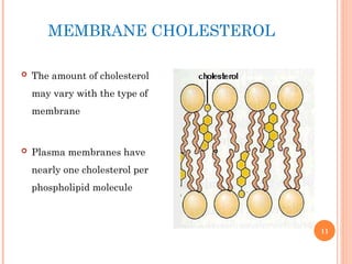 MEMBRANE CHOLESTEROL
 The amount of cholesterol
may vary with the type of
membrane
 Plasma membranes have
nearly one cholesterol per
phospholipid molecule
11
 