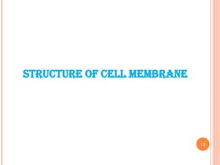 13
Structure of cell membrane
 