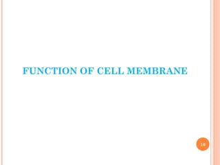 FUNCTION OF CELL MEMBRANE
16
 