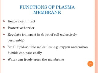 FUNCTIONS OF PLASMA
MEMBRANE
Keeps a cell intact
Protective barrier
Regulate transport in & out of cell (selectively
permeable)
Small lipid-soluble molecules, e.g. oxygen and carbon
dioxide can pass easily
Water can freely cross the membrane
17
 