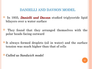 DANIELLI AND DAVSON MODEL
 In 1935, Danielli and Davson
Danielli and Davson studied triglyceride lipid
bilayers over a water surface
 They found that they arranged themselves with the
polar heads facing outward
 It always formed droplets (oil in water) and the surface
tension was much higher than that of cells
 Called as Sandwich model
Called as Sandwich model
21
 