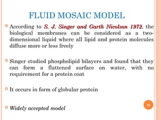 FLUID MOSAIC MODEL
 According to S. J. Singer and Garth Nicolson 1972
S. J. Singer and Garth Nicolson 1972, the
biological membranes can be considered as a two-
dimensional liquid where all lipid and protein molecules
diffuse more or less freely
 Singer studied phospholipid bilayers and found that they
can form a flattened surface on water, with no
requirement for a protein coat
 It occurs in form of globular protein
 Widely accepted model
Widely accepted model
25
 