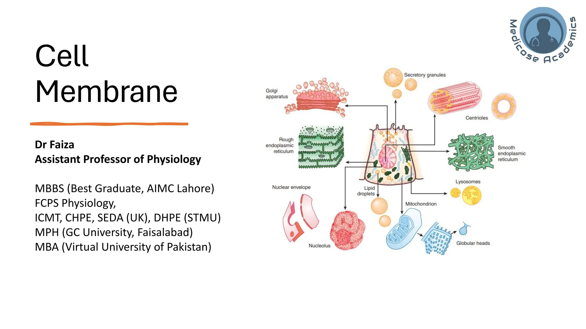 Cell/Plasma Membrane of human cell- applied/clinical Physiology.pdf