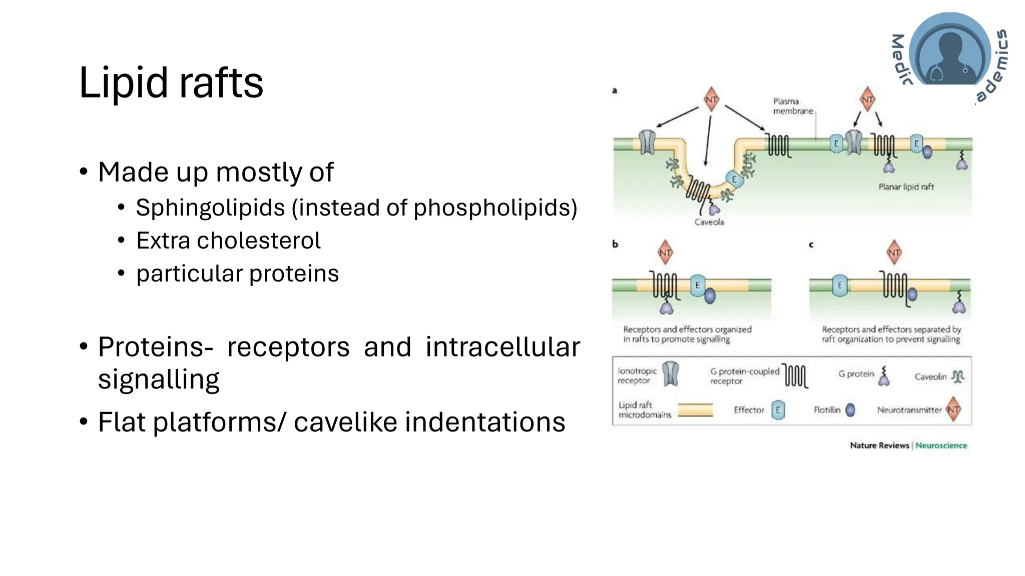 Cell/Plasma Membrane of human cell- applied/clinical Physiology.pdf