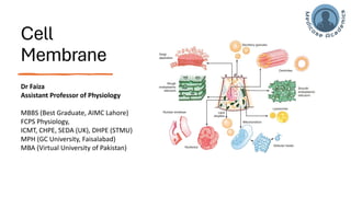 Cell/Plasma Membrane of human cell- applied/clinical Physiology.pdf