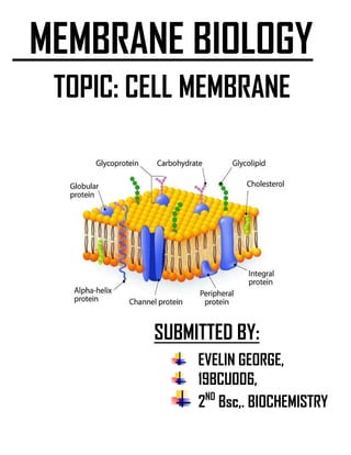 MEMBRANE BIOLOGY
TOPIC: CELL MEMBRANE
SUBMITTED BY:
EVELIN GEORGE,
19BCU006,
2ND
Bsc,. BIOCHEMISTRY
 