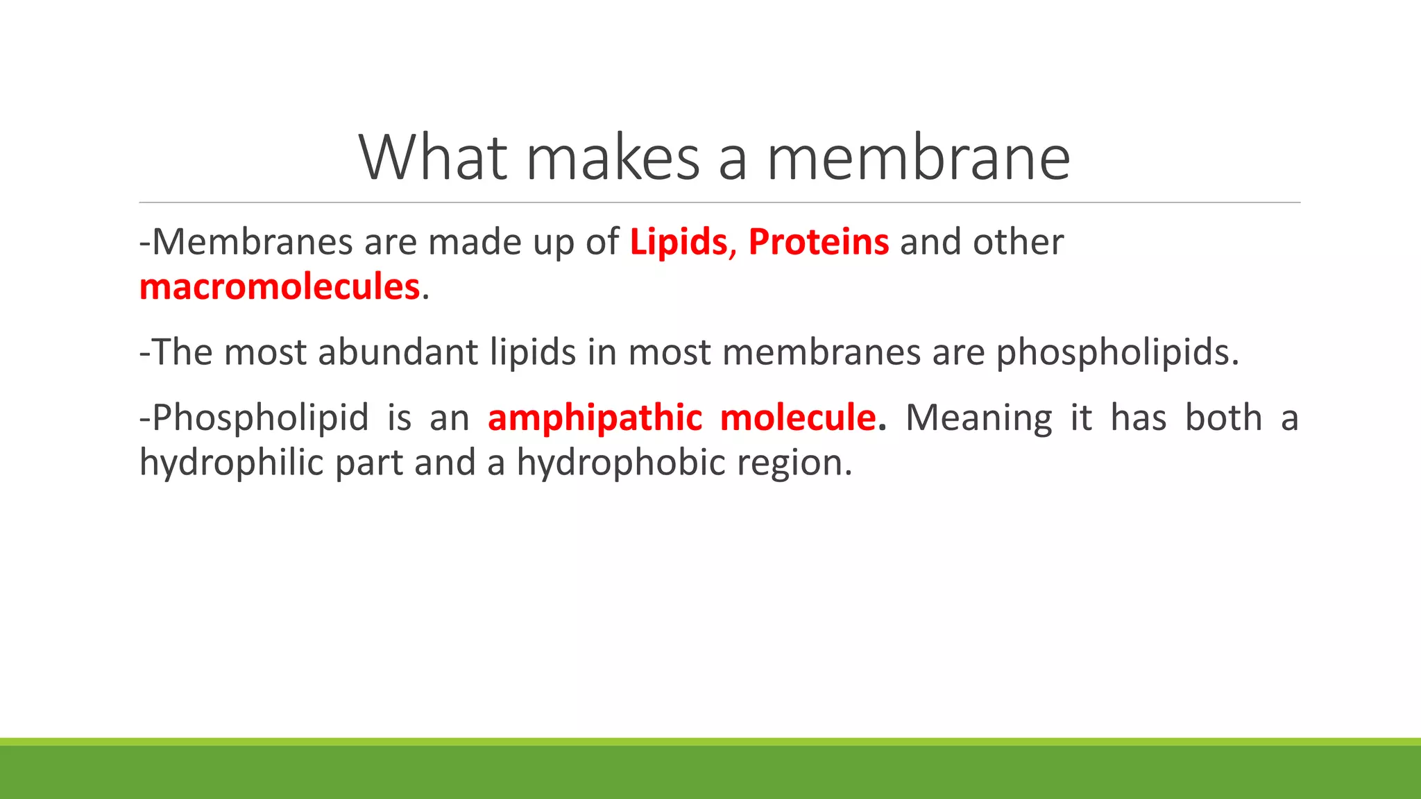 What makes a membrane
-Membranes are made up of Lipids, Proteins and other
macromolecules.
-The most abundant lipids in most membranes are phospholipids.
-Phospholipid is an amphipathic molecule. Meaning it has both a
hydrophilic part and a hydrophobic region.
 