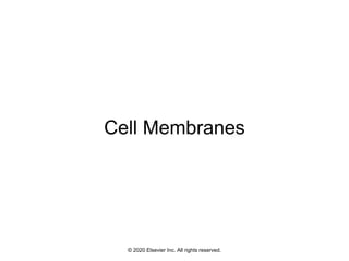 © 2020 Elsevier Inc. All rights reserved.
Cell Membranes
 