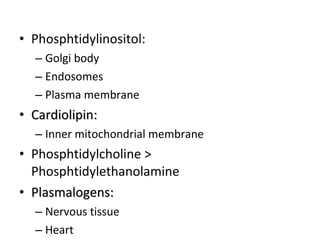 • Phosphtidylinositol:
– Golgi body
– Endosomes
– Plasma membrane
• Cardiolipin:Cardiolipin:
– Inner mitochondrial membrane
• Phosphtidylcholine >
Phosphtidylethanolamine
• Plasmalogens:Plasmalogens:
– Nervous tissue
– Heart
 