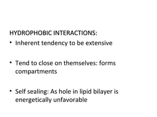 HYDROPHOBIC INTERACTIONS:HYDROPHOBIC INTERACTIONS:
• Inherent tendency to be extensive
• Tend to close on themselves: forms
compartments
• Self sealing: As hole in lipid bilayer is
energetically unfavorable
 