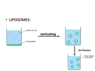 • LIPOSOMES:LIPOSOMES:
sonicating
Gel filtration
 