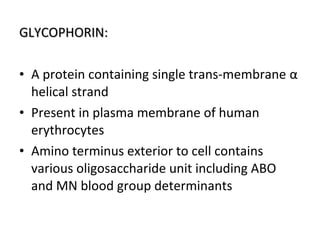 GLYCOPHORIN:GLYCOPHORIN:
• A protein containing single trans-membrane α
helical strand
• Present in plasma membrane of human
erythrocytes
• Amino terminus exterior to cell contains
various oligosaccharide unit including ABO
and MN blood group determinants
 