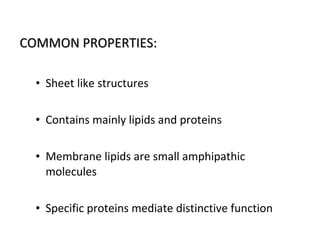 COMMON PROPERTIES:COMMON PROPERTIES:
• Sheet like structures
• Contains mainly lipids and proteins
• Membrane lipids are small amphipathic
molecules
• Specific proteins mediate distinctive function
 