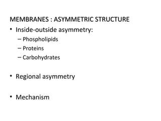 MEMBRANES : ASYMMETRIC STRUCTUREMEMBRANES : ASYMMETRIC STRUCTURE
• Inside-outside asymmetry:
– Phospholipids
– Proteins
– Carbohydrates
• Regional asymmetry
• Mechanism
 