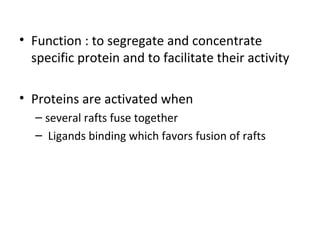 • Function : to segregate and concentrate
specific protein and to facilitate their activity
• Proteins are activated when
– several rafts fuse together
– Ligands binding which favors fusion of rafts
 
