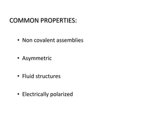COMMON PROPERTIES:COMMON PROPERTIES:
• Non covalent assemblies
• Asymmetric
• Fluid structures
• Electrically polarized
 