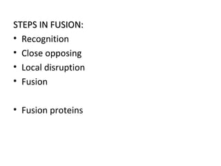 STEPS IN FUSION:STEPS IN FUSION:
• Recognition
• Close opposing
• Local disruption
• Fusion
• Fusion proteins
 