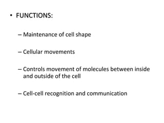 • FUNCTIONS:FUNCTIONS:
– Maintenance of cell shape
– Cellular movements
– Controls movement of molecules between inside
and outside of the cell
– Cell-cell recognition and communication
 