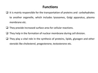 Functions
 It is mainly responsible for the transportation of proteins and carbohydrates
to another organelle, which includes lysosomes, Golgi apparatus, plasma
membrane etc.
 They provide increased surface area for cellular reactions.
 They help in the formation of nuclear membrane during cell division.
 They play a vital role in the synthesis of proteins, lipids, glycogen and other
steroids like cholesterol, progesterone, testosterone etc.
 