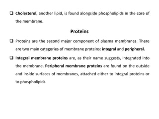  Cholesterol, another lipid, is found alongside phospholipids in the core of
the membrane.
Proteins
 Proteins are the second major component of plasma membranes. There
are two main categories of membrane proteins: integral and peripheral.
 Integral membrane proteins are, as their name suggests, integrated into
the membrane. Peripheral membrane proteins are found on the outside
and inside surfaces of membranes, attached either to integral proteins or
to phospholipids.
 