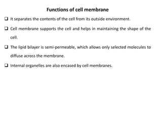 Functions of cell membrane
 It separates the contents of the cell from its outside environment.
 Cell membrane supports the cell and helps in maintaining the shape of the
cell.
 The lipid bilayer is semi-permeable, which allows only selected molecules to
diffuse across the membrane.
 Internal organelles are also encased by cell membranes.
 