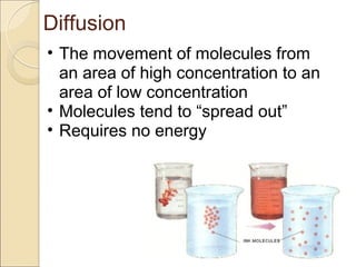 Cell membrane and transport | PPT