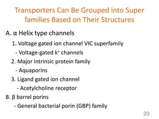 Transporters Can Be Grouped into Super
families Based on Their Structures
A. α Helix type channels
1. Voltage gated ion channel VIC superfamily
- Voltage-gated k+ channels
2. Major intrinsic protein family
- Aquaporins
3. Ligand gated ion channel
- Acetylcholine receptor
B. β barrel porins
- General bacterial porin (GBP) family
20
 