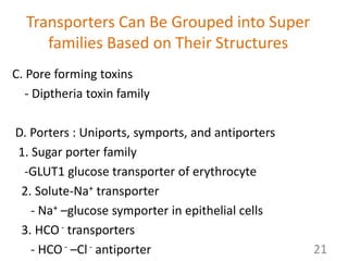 Transporters Can Be Grouped into Super
families Based on Their Structures
C. Pore forming toxins
- Diptheria toxin family
D. Porters : Uniports, symports, and antiporters
1. Sugar porter family
-GLUT1 glucose transporter of erythrocyte
2. Solute-Na+ transporter
- Na+ –glucose symporter in epithelial cells
3. HCO - transporters
- HCO - –Cl - antiporter 21
 
