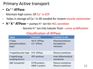 Primary Active transport
• Ca + + ATPase
- Maintain high concn. Of Ca+ in ECF
- helps in storage of Ca+ in SR needed for instant muscle contraction
• H + K + ATPase – pumps H+ ion for HCL secretion
- Secrets H + ion into tubular fluid – urine acidification
Types Examples Location in cell
P-Type
(phosphorylation
type)
Na+K+ ATPase
Ca++ ATPase
Plasmamembrane
Sarcoplasmic
reticulum
V-type(Vacuolar type H+K+ ATPase Plasma membrane
F-type(Energy
coupling factor)
ATP synthase Inner Mitochondrial
membrane
ABC transporter CFTR proteins
MDR-1 protein
Plasma membrane
Plasma membrane 32
Classification of ATPase
 
