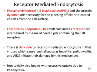 Receptor Mediated Endocytosis
• Phosphatidylinositol 4.5 bisphosphate(PIP2) and the protein
dynamin are necessary for the pinching off clathrin-coated
vesicles from the cell surface.
• Low density lipoprotein(LDL) molecule and its receptor are
internalized by means of coated pits containing the LDL
receptors.
• There is dark side to receptor-mediated endocytosis in that
viruses which cause such disease as hepatitis, poliomyelitis,
and AIDS initiate their damage by this mechanism.
• Iron toxicity also begins with excessive uptake due to
endocytosis. 49
 