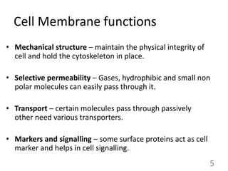 Cell Membrane functions
• Mechanical structure – maintain the physical integrity of
cell and hold the cytoskeleton in place.
• Selective permeability – Gases, hydrophibic and small non
polar molecules can easily pass through it.
• Transport – certain molecules pass through passively
other need various transporters.
• Markers and signalling – some surface proteins act as cell
marker and helps in cell signalling.
5
 