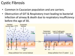 Cystic Fibrosis
• Common in Caucasian population and are carriers.
• Obstruction of GIT & Respiratory tract leading to bacterial
infection of airway & death due to respiratory insufficiency
before the age of 30.
53
 