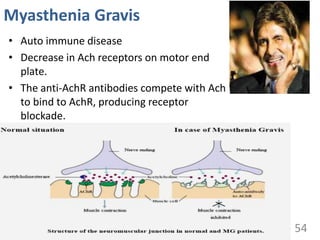 Myasthenia Gravis
• Auto immune disease
• Decrease in Ach receptors on motor end
plate.
• The anti-AchR antibodies compete with Ach
to bind to AchR, producing receptor
blockade.
54
 