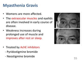 Myasthenia Gravis
• Womens are more affected.
• The extraocular muscles and eyelids
are often involved in early course of
disease.
• Weakness increases during
prolonged use of muscle and
improves after rest or sleep.
• Treated by AchE inhibitors
- Pyridostigmine bromide
- Neostigmine bromide
55
 