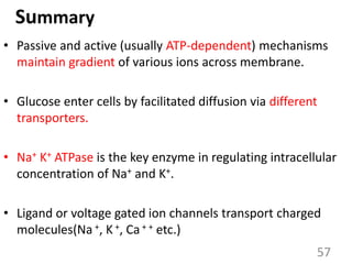 Summary
• Passive and active (usually ATP-dependent) mechanisms
maintain gradient of various ions across membrane.
• Glucose enter cells by facilitated diffusion via different
transporters.
• Na+ K+ ATPase is the key enzyme in regulating intracellular
concentration of Na+ and K+.
• Ligand or voltage gated ion channels transport charged
molecules(Na +, K+, Ca+ + etc.)
57
 