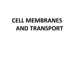 CELL MEMBRANES
AND TRANSPORT
 