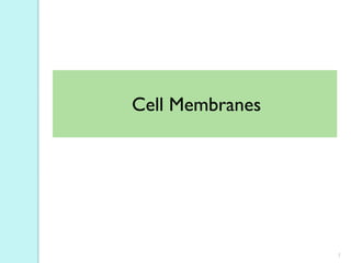 Cell Membranes 
1  
