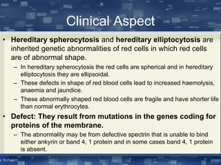Clinical Aspect
• Hereditary spherocytosis and hereditary elliptocytosis are
inherited genetic abnormalities of red cells in which red cells
are of abnormal shape.
– In hereditary spherocytosis the red cells are spherical and in hereditary
elliptocytosis they are ellipsoidal.
– These defects in shape of red blood cells lead to increased haemolysis,
anaemia and jaundice.
– These abnormally shaped red blood cells are fragile and have shorter life
than normal erythrocytes.
• Defect: They result from mutations in the genes coding for
proteins of the membrane.
– The abnormality may be from defective spectrin that is unable to bind
either ankyrin or band 4, 1 protein and in some cases band 4, 1 protein
is absent.
 
