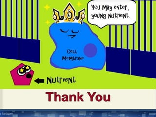 Cell Membrane Composition and Function_240417_114329.pdf