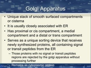 Golgi Apparatus
• Unique stack of smooth surfaced compartments
or cisterna
• It is usually closely associated with ER
• Has proximal or cis compartment, a medial
compartment and a distal or trans compartment
• Serves as a unique sorting device that receives
newly synthesized proteins, all containing signal
or transit peptides from the ER
– Those proteins with no signal or transit peptides
regions are rejected by the golgi apparatus without
processing further
– Remains as cytoplasmic protein
 