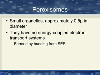 Peroxisomes
• Small organelles, approximately 0.5μ in
diameter
• They have no energy-coupled electron
transport systems
– Formed by budding from SER
 