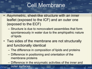 Cell Membrane
• Asymmetric, sheet-like structure with an inner
leaflet (exposed to the ICF) and an outer one
(exposed to the ECF)
– Structure is due to noncovalent assemblies that form
spontaneously in water due to the amphipathic nature
of lipids
• Two sides of the membrane are not structurally
and functionally identical
– The difference in composition of lipids and proteins
– Difference in positioning and orientation of the
membrane proteins
– Difference in the enzymatic activities of the inner and
outer surfaces
 