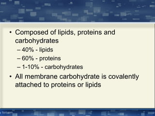 • Composed of lipids, proteins and
carbohydrates
– 40% - lipids
– 60% - proteins
– 1-10% - carbohydrates
• All membrane carbohydrate is covalently
attached to proteins or lipids
 