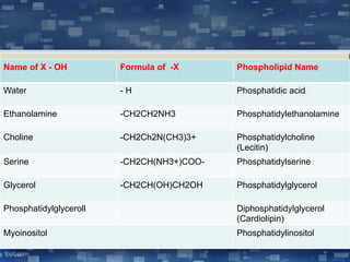 Name of X - OH Formula of -X Phospholipid Name
Water - H Phosphatidic acid
Ethanolamine -CH2CH2NH3 Phosphatidylethanolamine
Choline -CH2Ch2N(CH3)3+ Phosphatidylcholine
(Lecitin)
Serine -CH2CH(NH3+)COO- Phosphatidylserine
Glycerol -CH2CH(OH)CH2OH Phosphatidylglycerol
Phosphatidylglyceroll Diphosphatidylglycerol
(Cardiolipin)
Myoinositol Phosphatidylinositol
 
