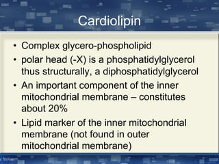 Cardiolipin
• Complex glycero-phospholipid
• polar head (-X) is a phosphatidylglycerol
thus structurally, a diphosphatidylglycerol
• An important component of the inner
mitochondrial membrane – constitutes
about 20%
• Lipid marker of the inner mitochondrial
membrane (not found in outer
mitochondrial membrane)
 