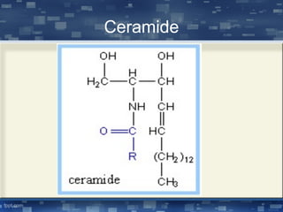 Ceramide
 