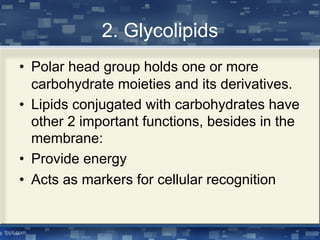 2. Glycolipids
• Polar head group holds one or more
carbohydrate moieties and its derivatives.
• Lipids conjugated with carbohydrates have
other 2 important functions, besides in the
membrane:
• Provide energy
• Acts as markers for cellular recognition
 