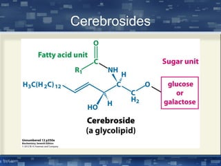 Cerebrosides
 