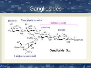Gangliosides
 